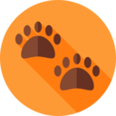 animals,pet,zoo,dog,mark,track,animal track